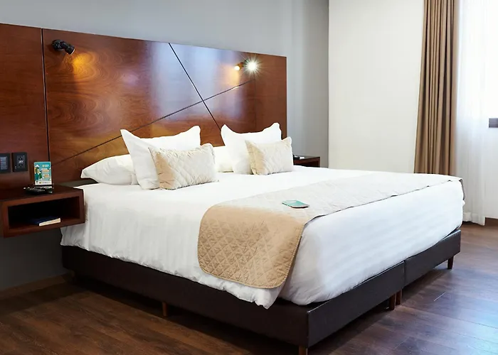 Hotel Mitru Sur