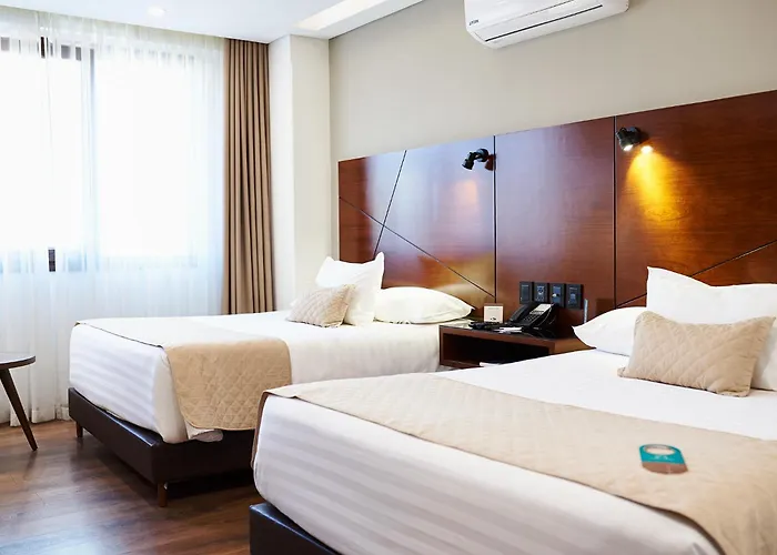 Hotel Mitru Sur