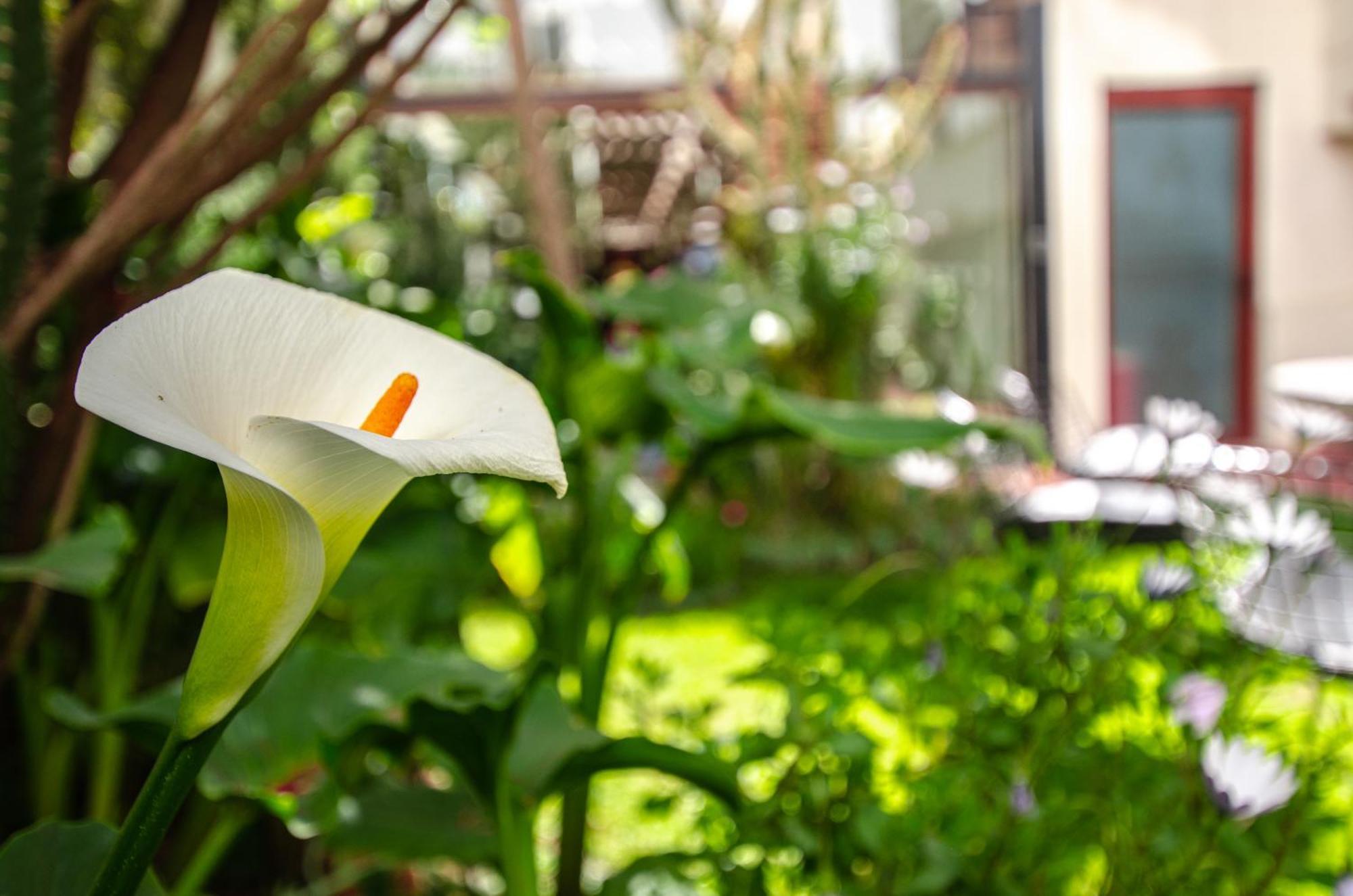 Hotel Mitru Sur